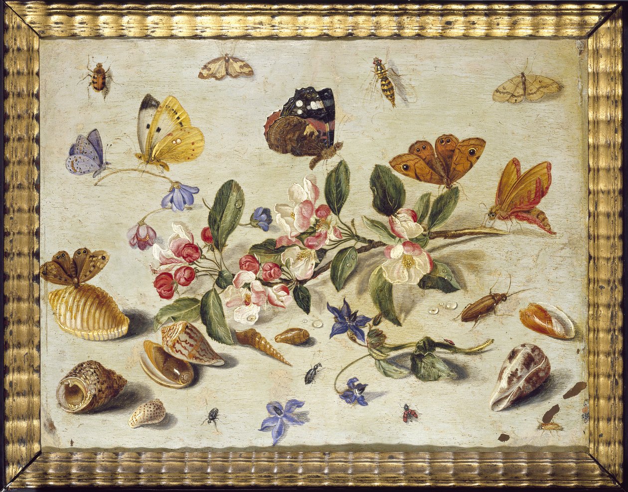 花和昆虫的研究（铜上的油） 作者 扬·范·凯塞尔（Jan van Kessel）