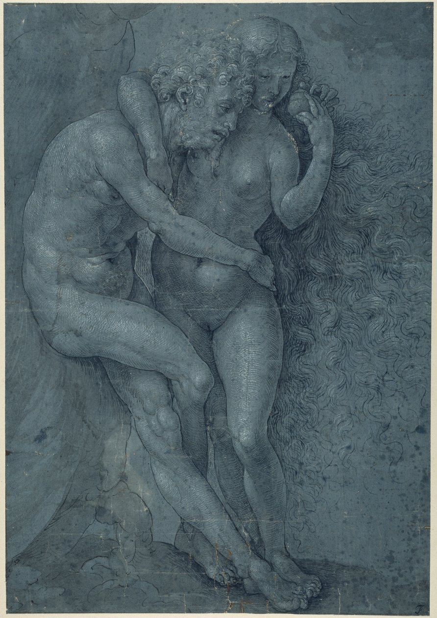 亚当和夏娃（纸上白色体色钢笔和黑色墨水） 作者 一月（c.1472-c.1533）戈萨尔特