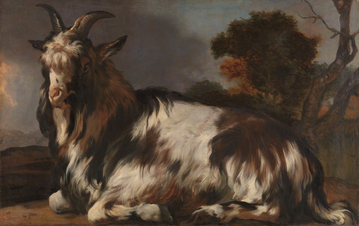 躺着的山羊 作者 Jan Baptist Weenix