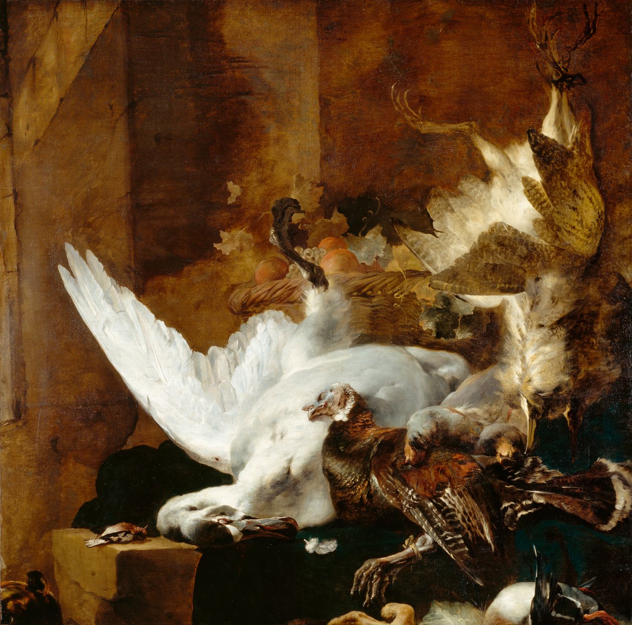 静物与死天鹅，c.1651 作者 Jan Baptist Weenix