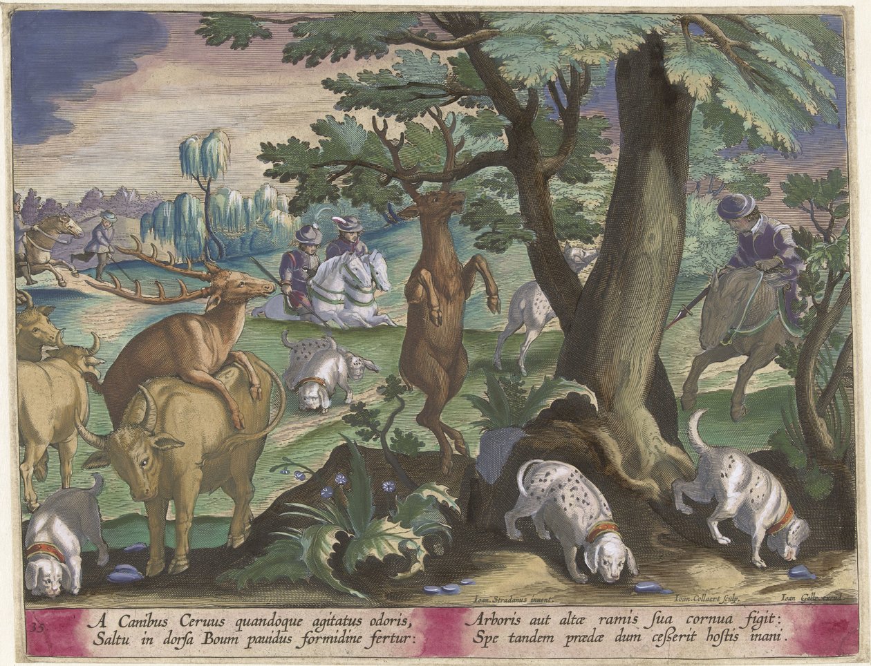 带狗猎鹿
狩猎场景（系列标题）
Venationes Ferarum, auium, piscium pvgnae Bestiariorum（系列标题） 作者 扬·科勒特