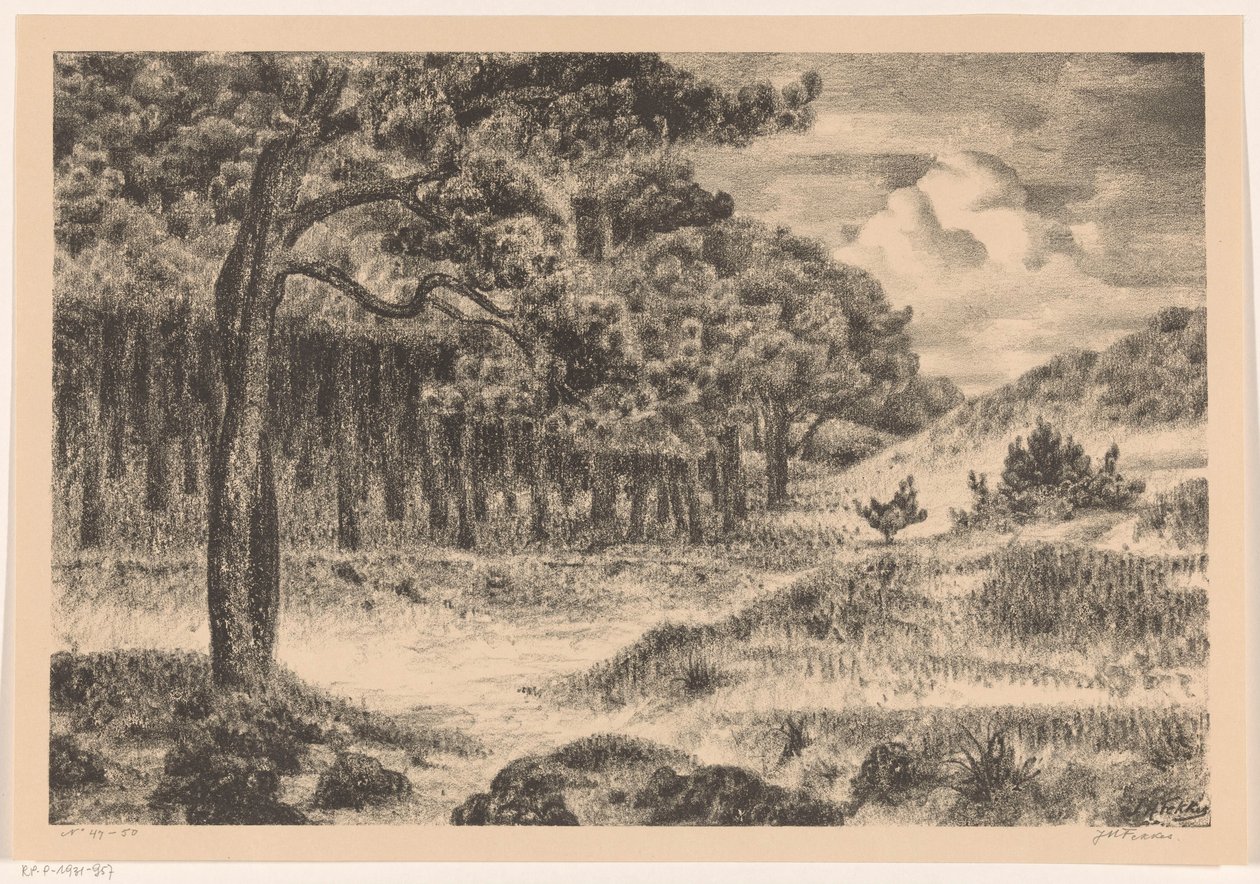 丘陵地带的森林 作者 Jan Fekkes（艺术家签名）