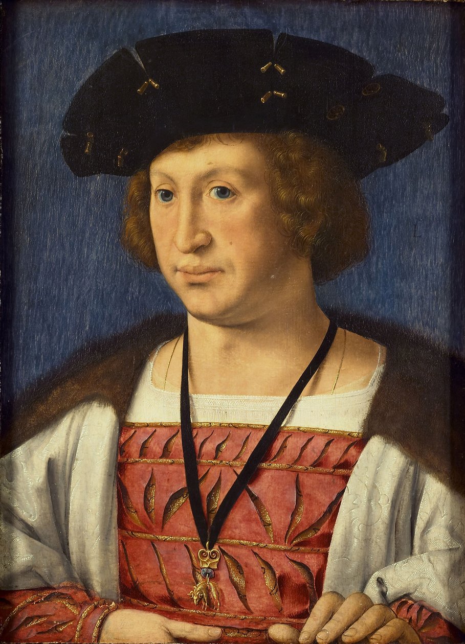 Floris van Egmond 1469-1539，布伦伯爵，1536年 作者 扬·高萨特（Jan Gossaert）