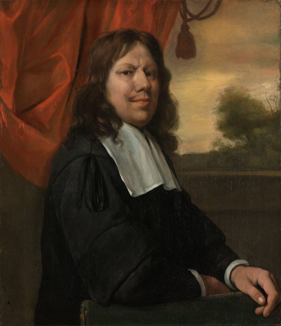 自画像 自画像 作者 扬·哈维克斯（Jan Havicksz）。斯汀