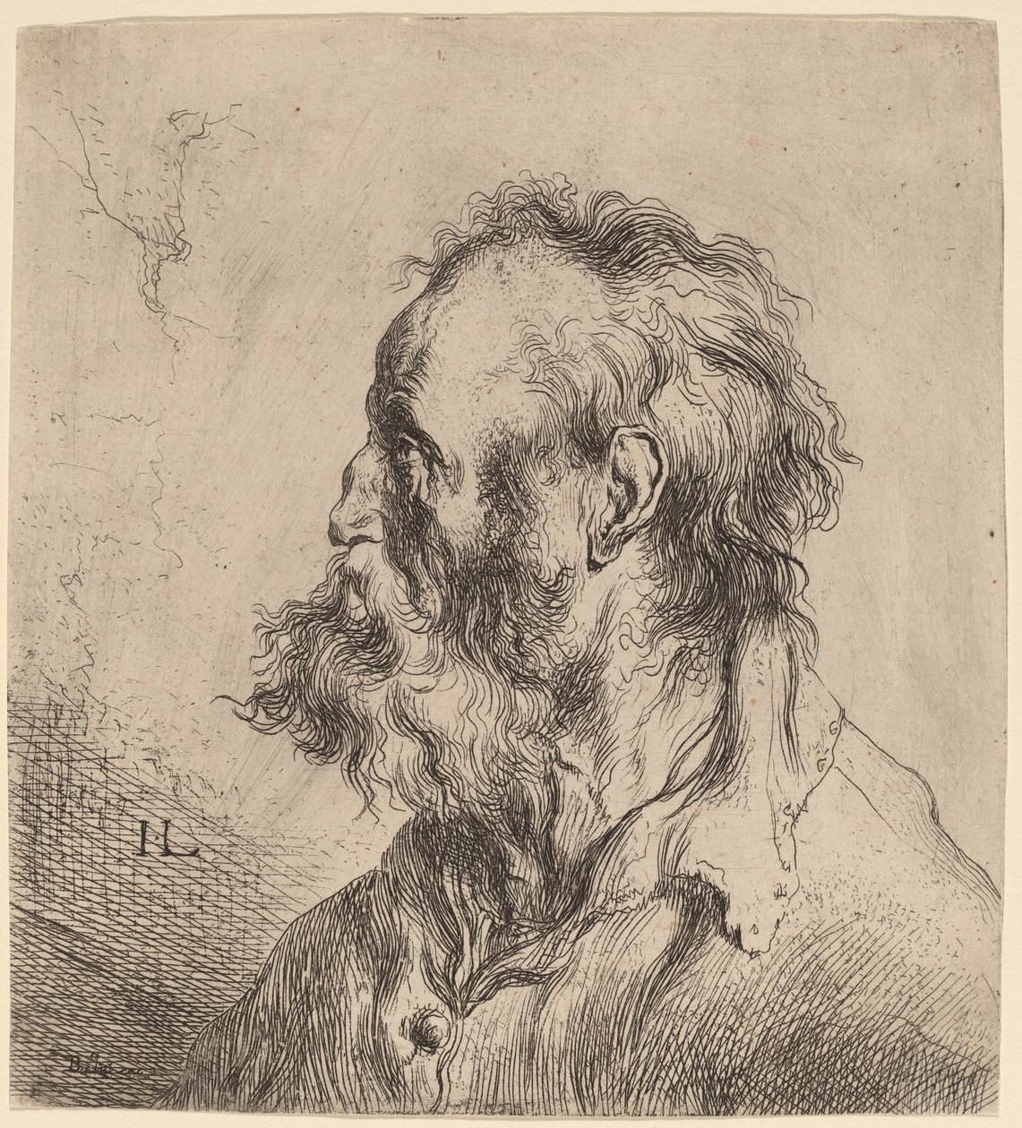 大胡子老人半身像 作者 扬·利文斯（Jan Lievens）