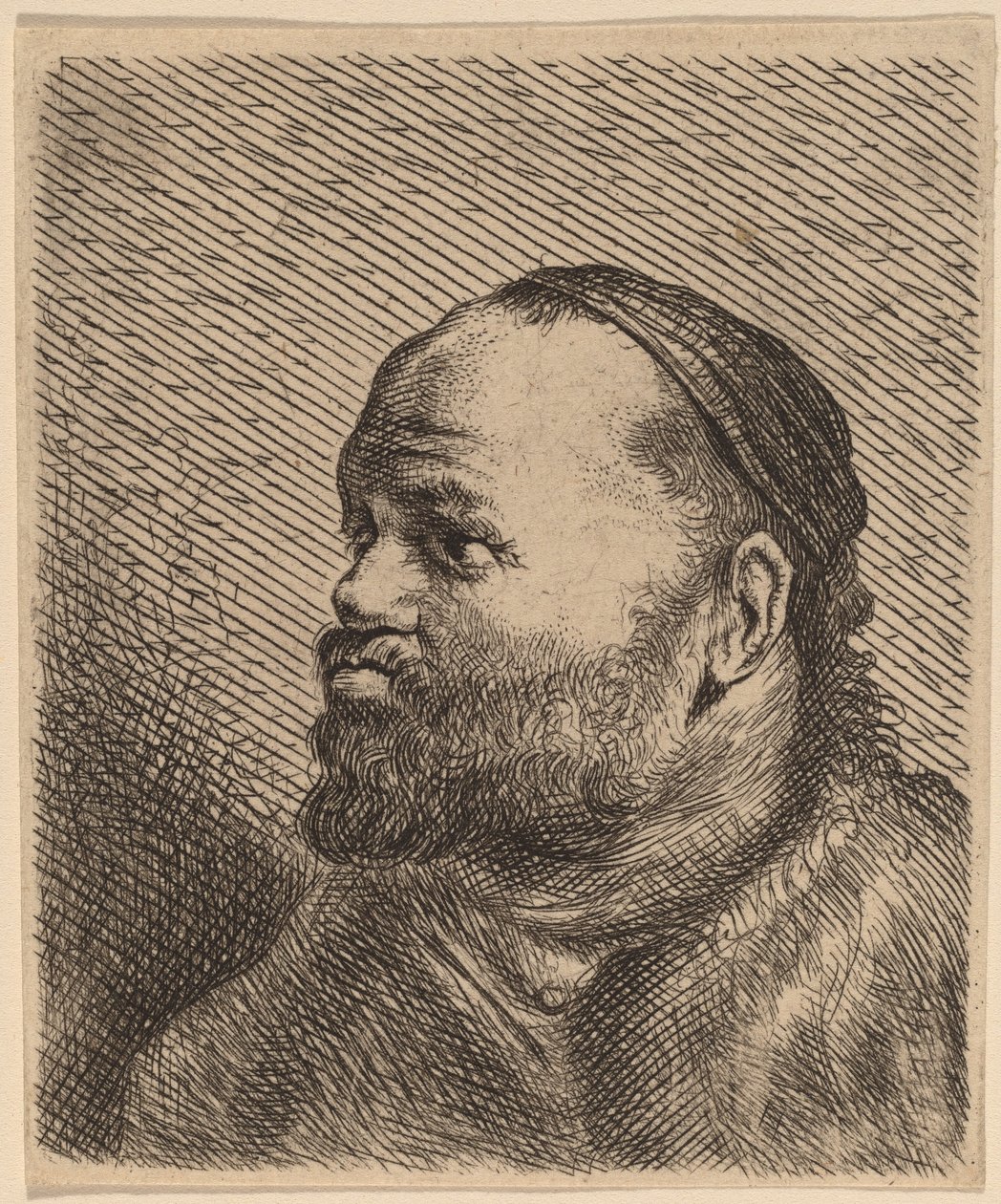 厚唇男子半身像 作者 扬·利文斯（Jan Lievens）