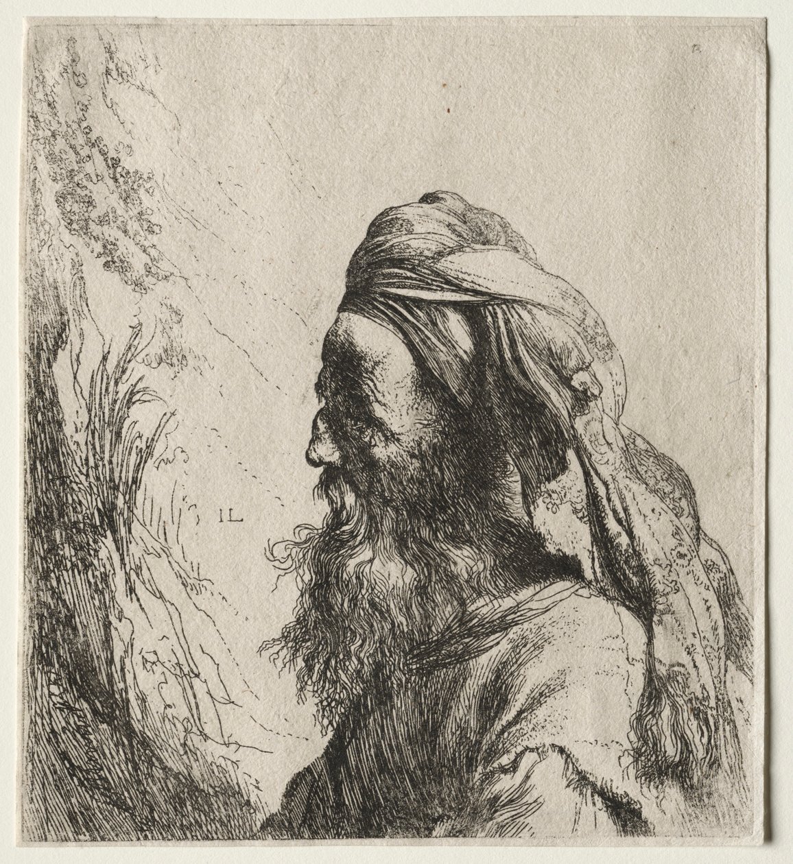 东方人的头，1600年代。 作者 扬·利文斯（Jan Lievens）
