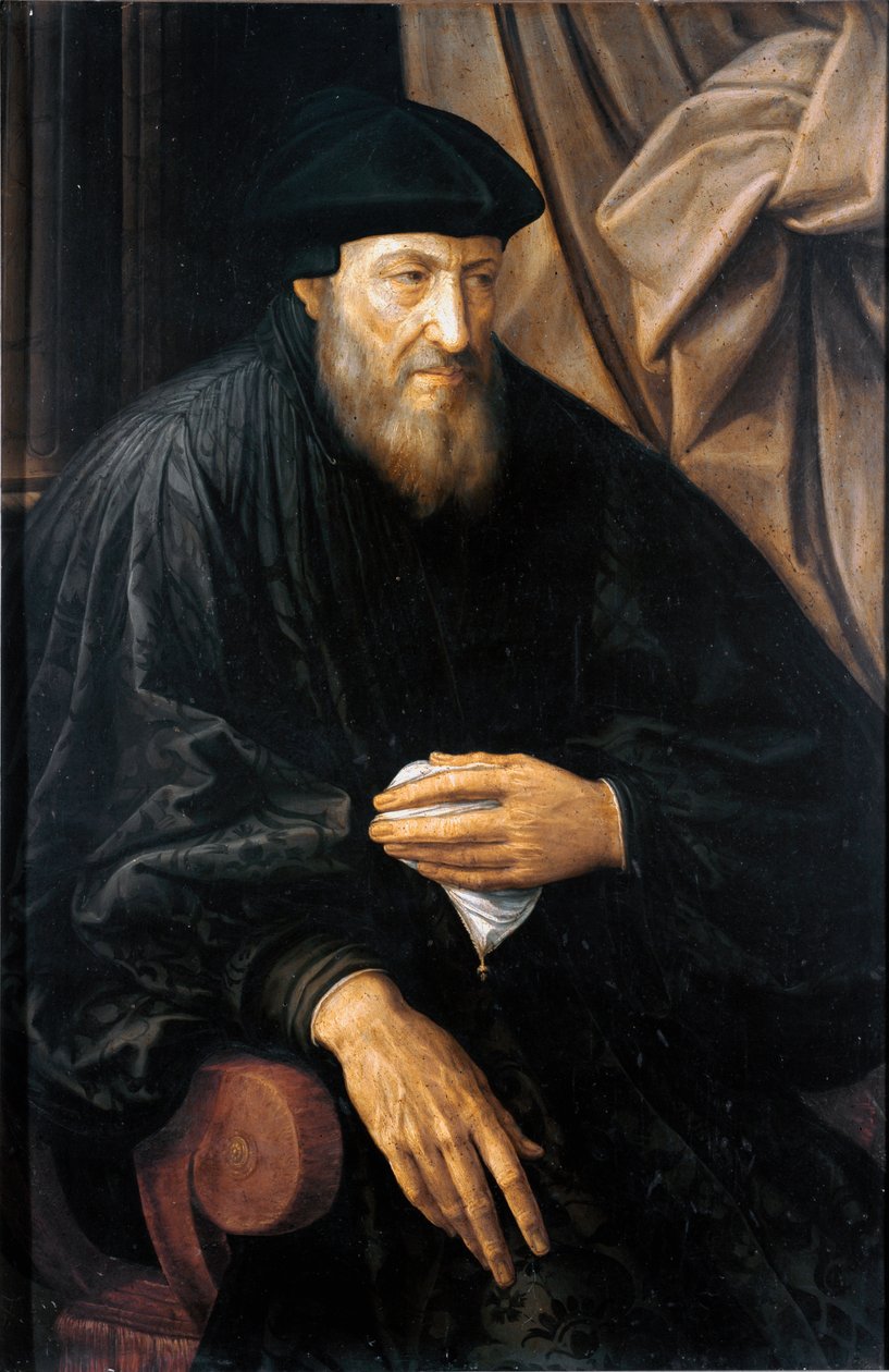 老人肖像（可能是 Andrea Doria）（Andrea Doria 或 d