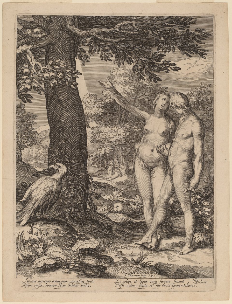 知识树前的亚当和夏娃 作者 Jan Pietersz Saenredam 在 Abraham Bloemaert 之后