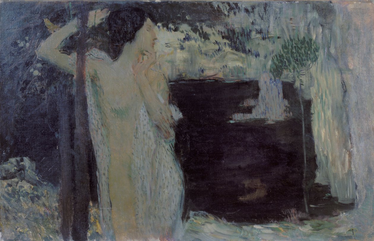 黑湖的女人，1904年 作者 扬·普雷斯勒