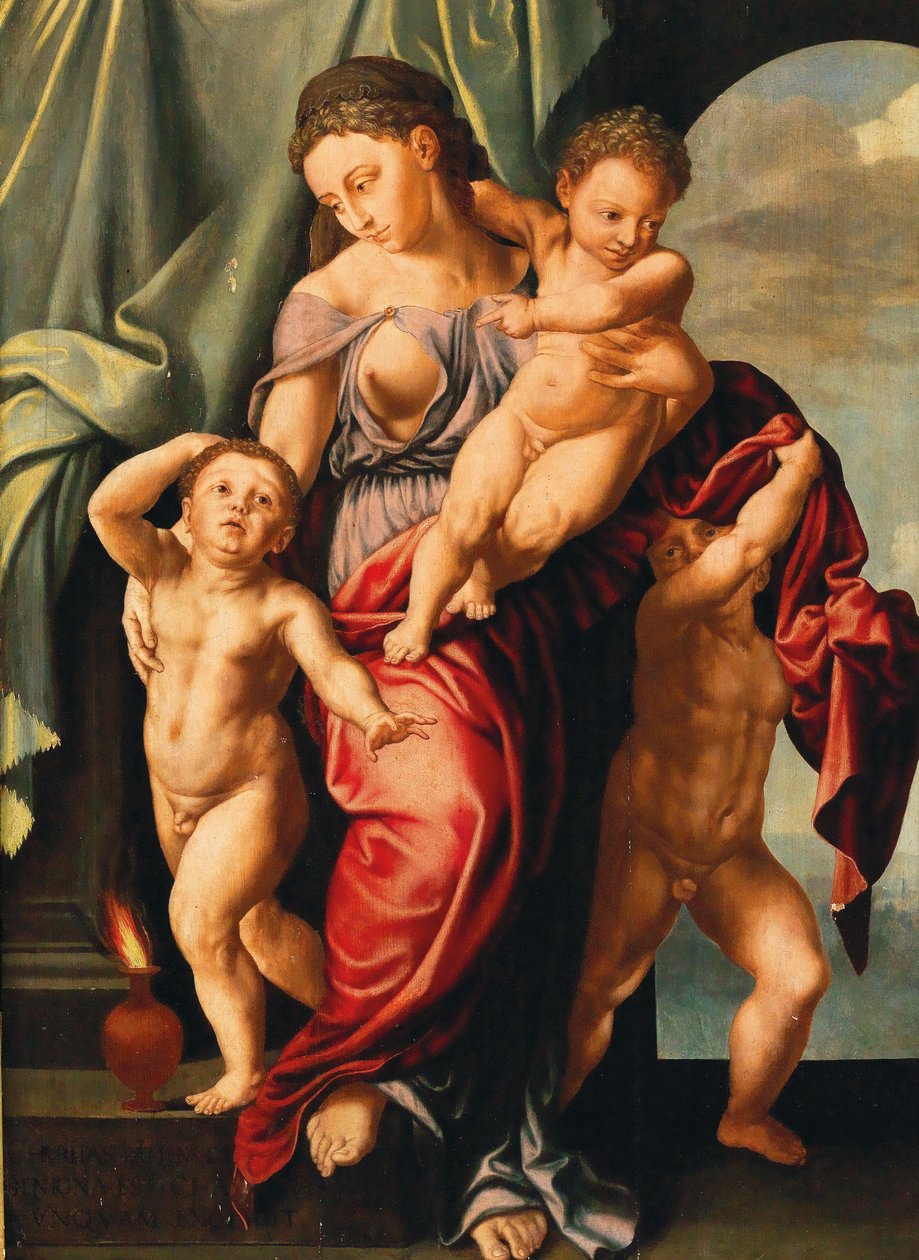 拉丁语: Caritas Romana 作者 扬·桑德斯·范·赫姆森