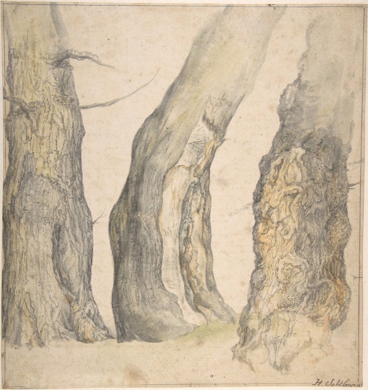 三棵老树的研究》，1660年。 作者 扬·西伯雷兹（Jan Siberechts）