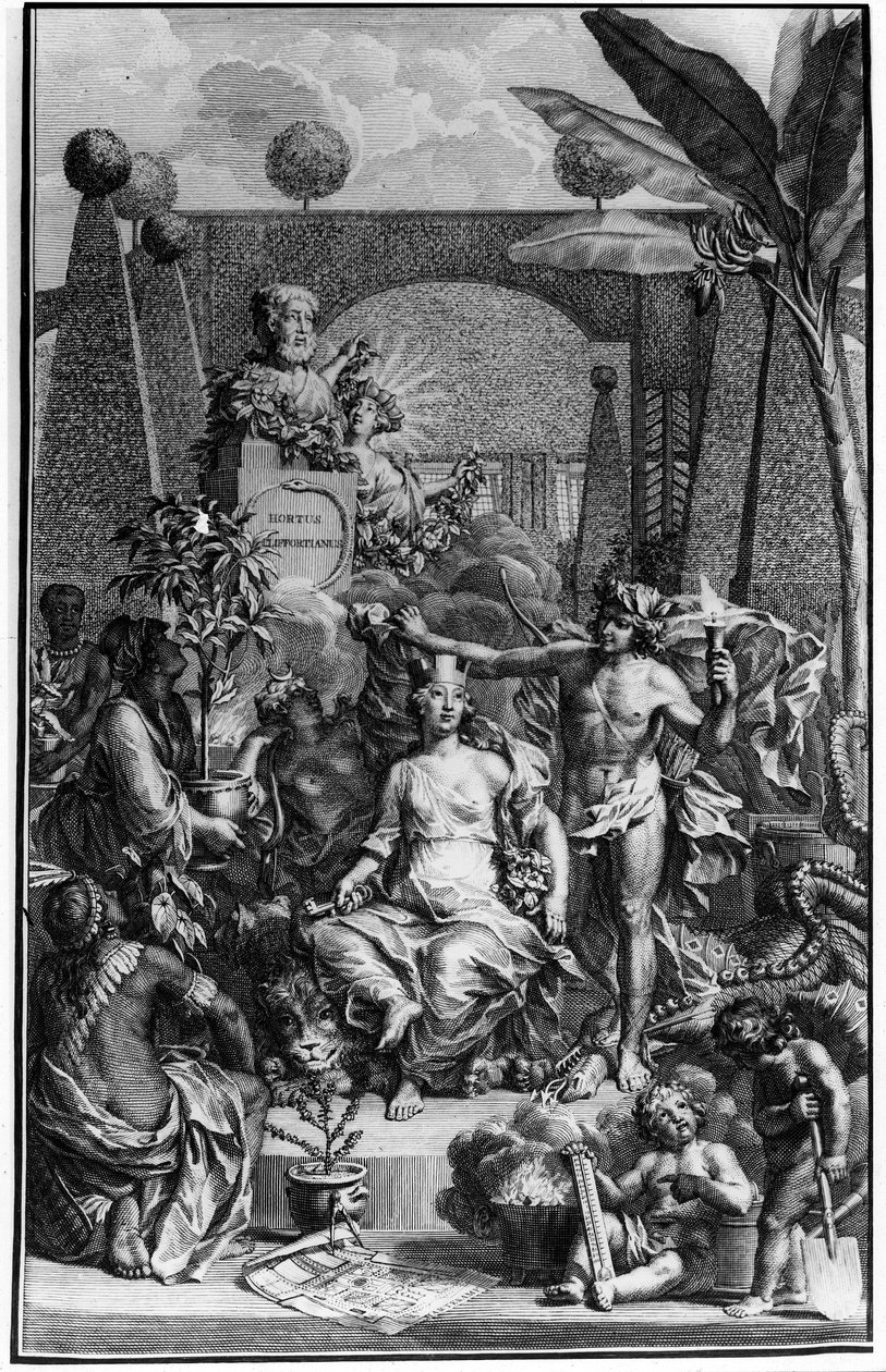 瑞典博物学家查尔斯-林恩（Carl von Linne, Linneus 1707 - 1778）的 "Hortus Cliffortianus "的封面。1737.由Jan Wandelaar（1690-1759）雕刻。私人收藏。 作者 扬·旺德拉尔