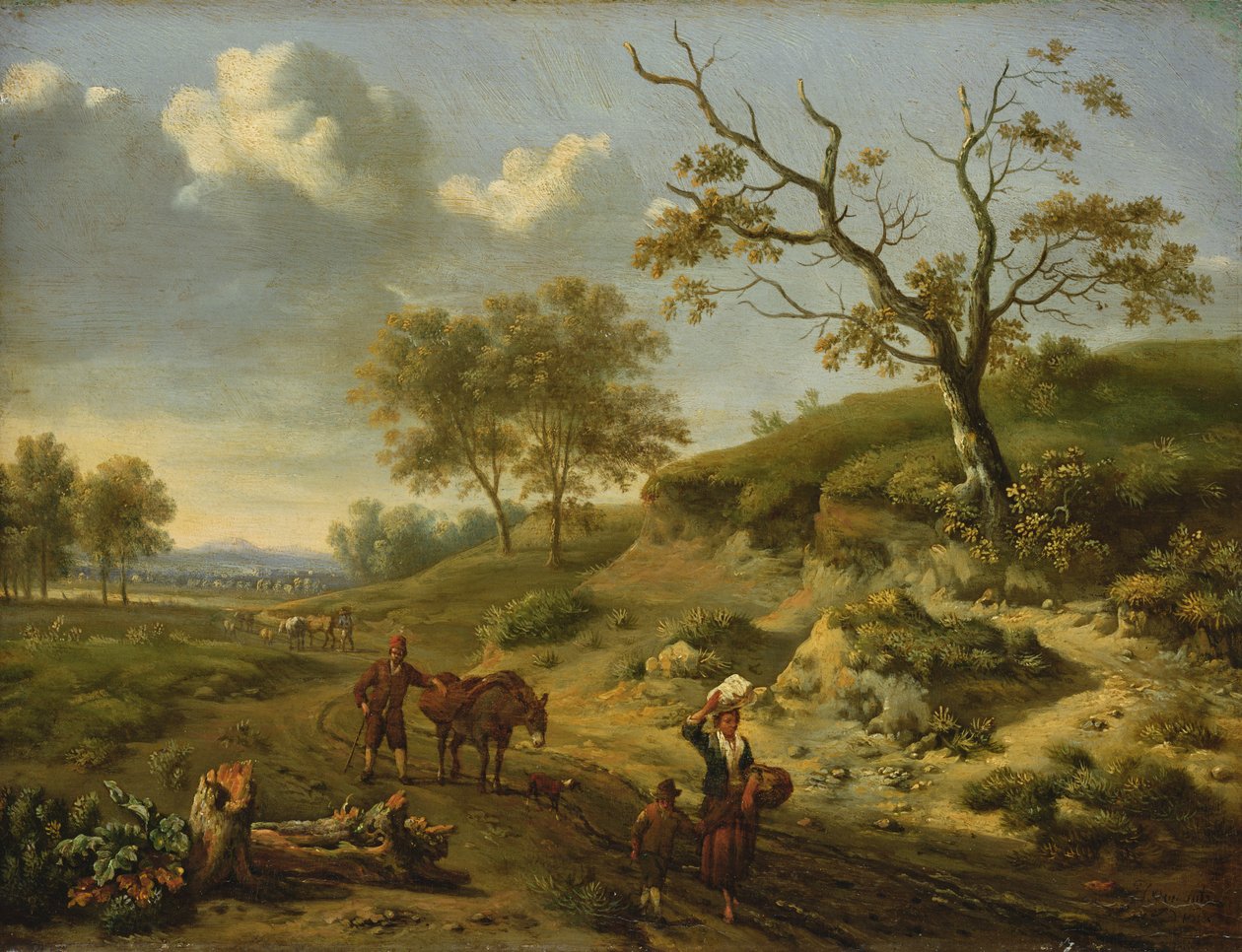 景观，1659年 作者 扬·维纳茨