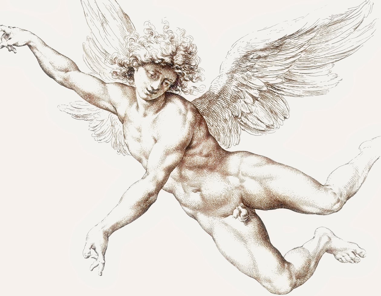 裸体的男性飞行天使。 作者 扬·德·比绍普（Jan de Bisschop）