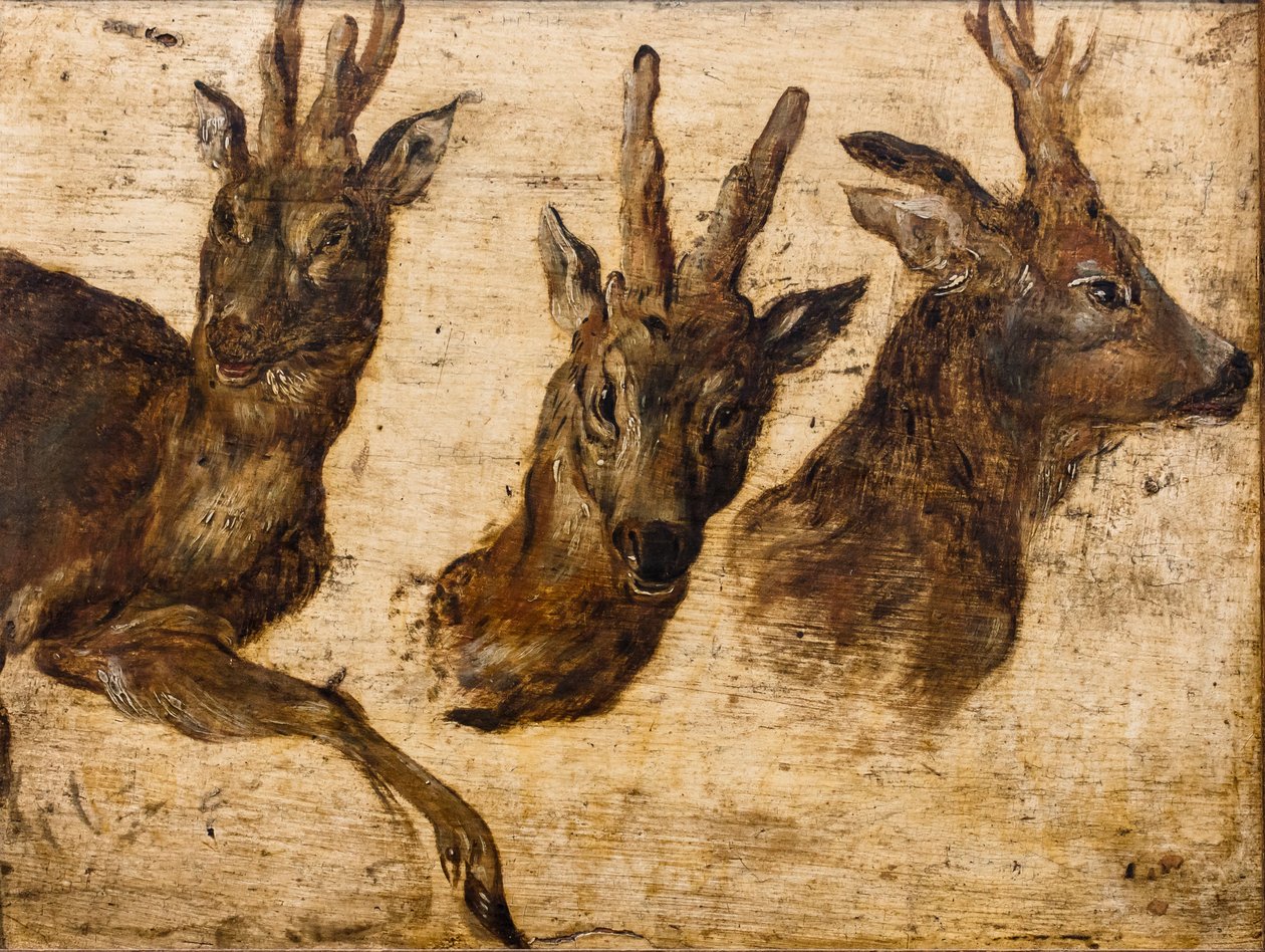  作者 简·布鲁格尔·扬