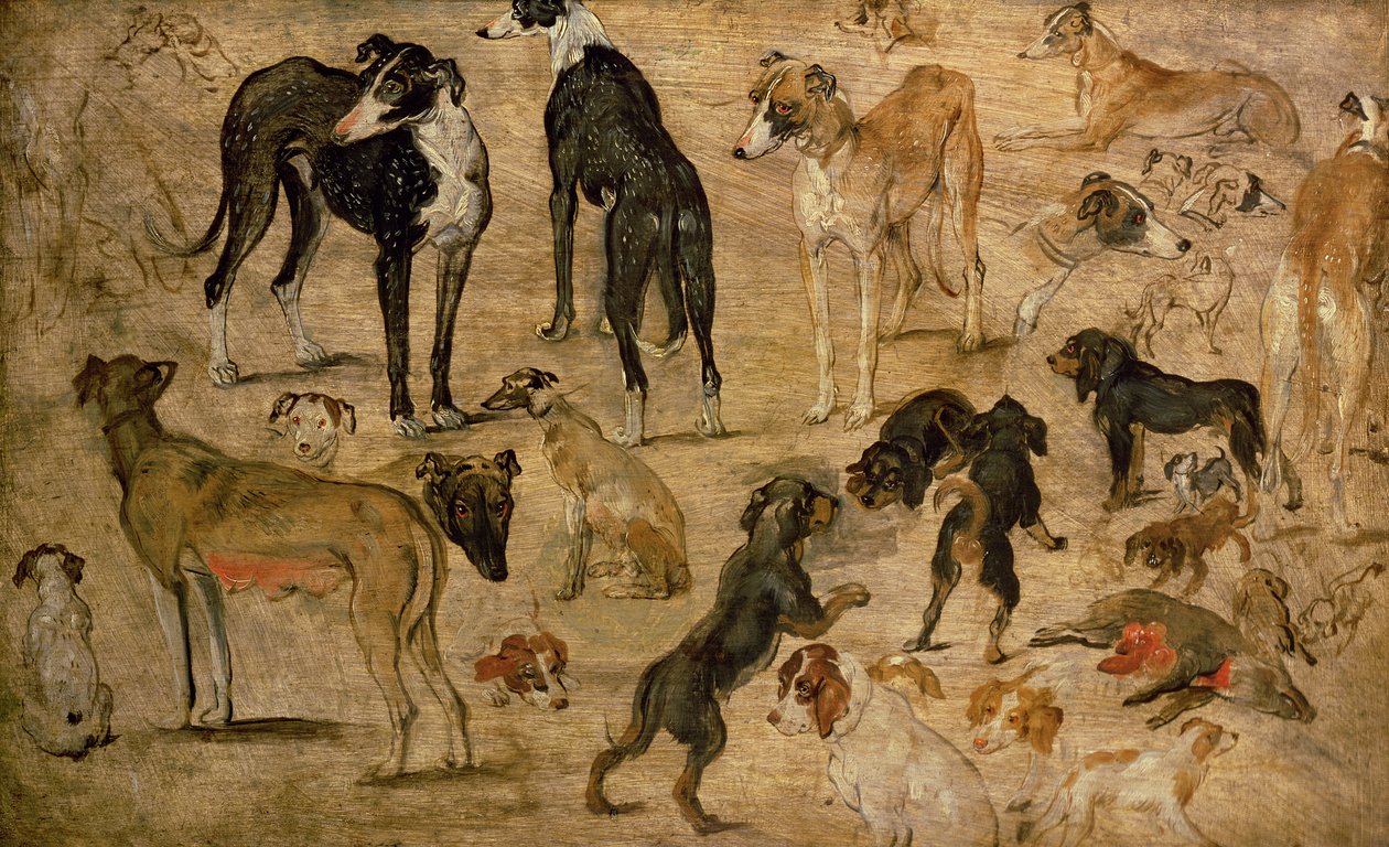 猎犬研究，1616 作者 简·布鲁格尔·扬