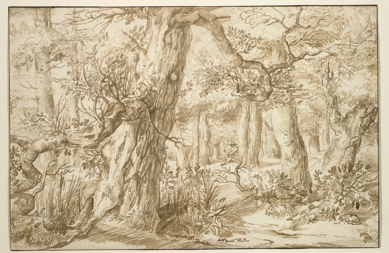 森林内部与绘图员，c.1664（古董纸上的棕色墨水） 作者 扬·利文斯（Jan）