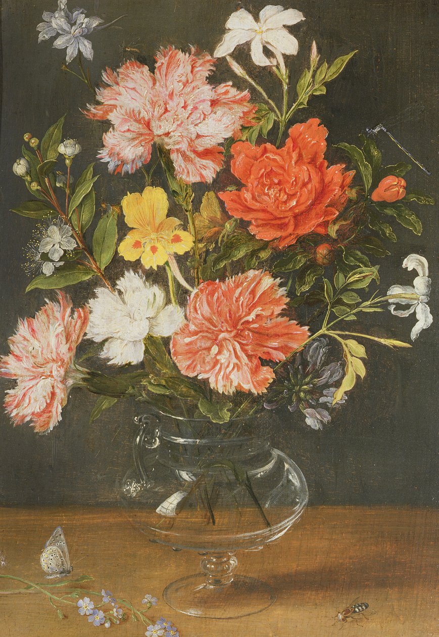 康乃馨和其他鲜花的静物 作者 扬·布鲁格（Jan Brueghel）