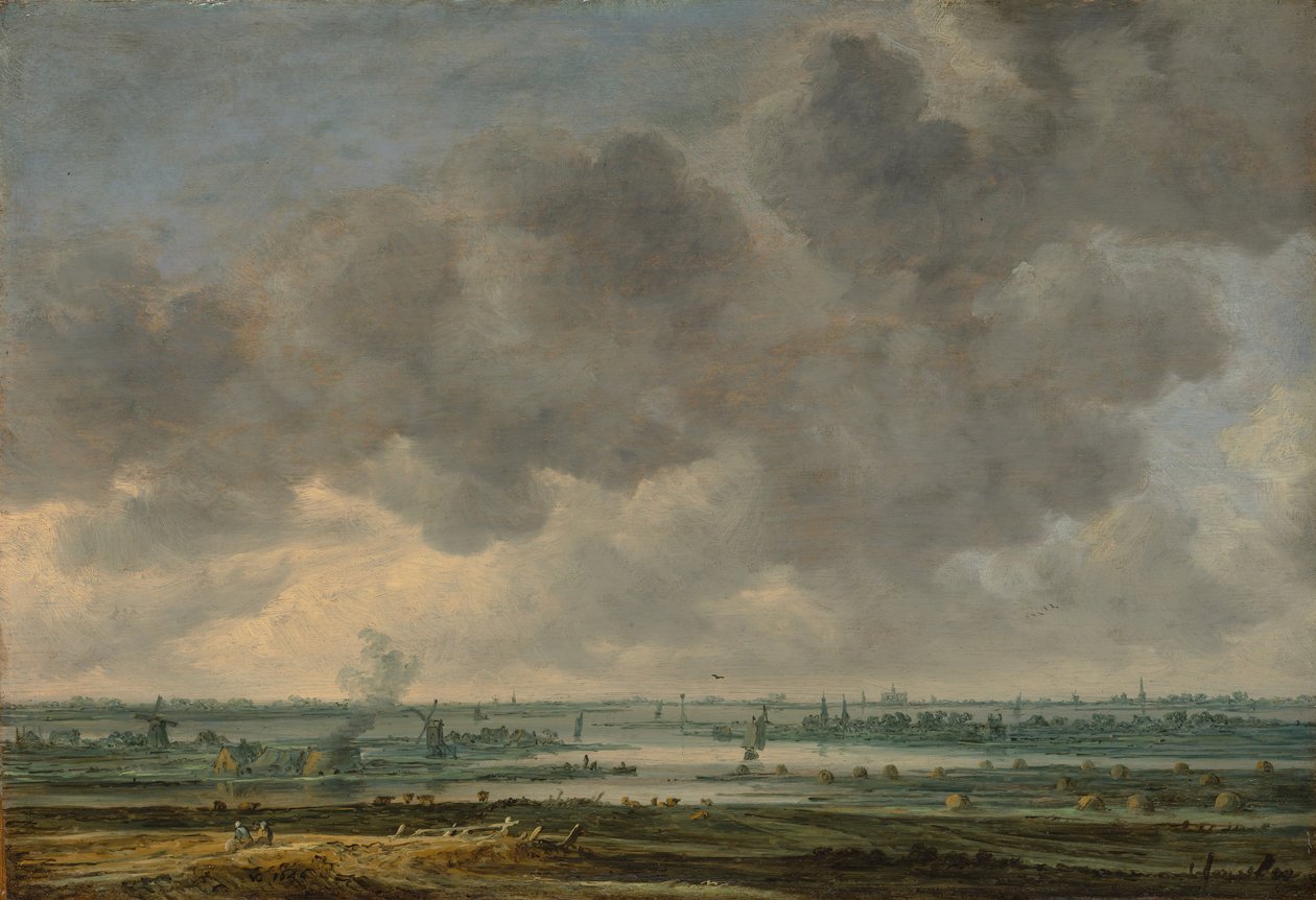 哈勒姆和Haarlemmer Meer的景色，1646年。 作者 扬·范·戈恩