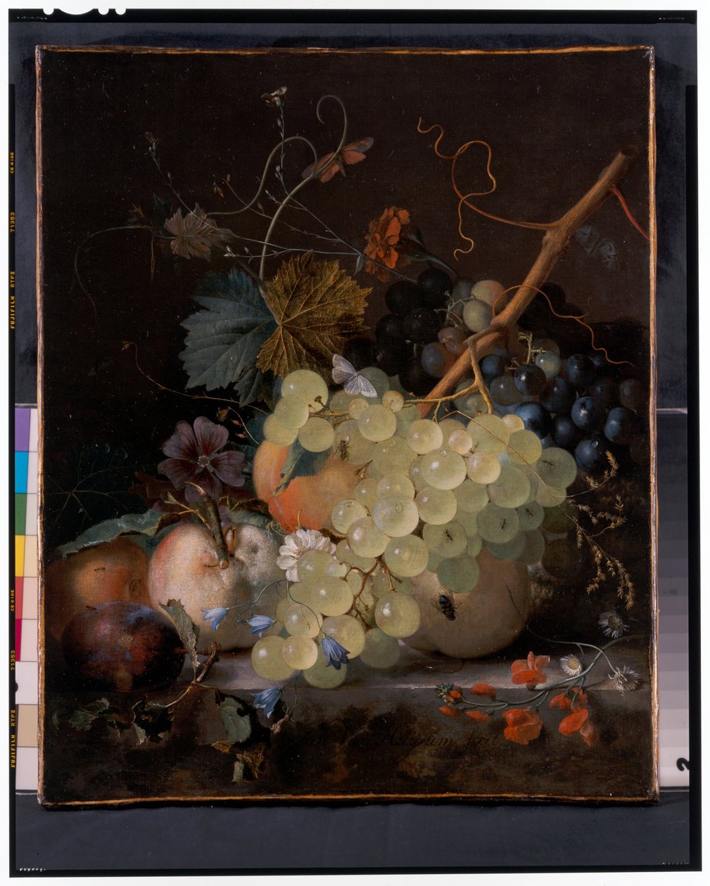 石壁上葡萄和桃子的静物画 作者 扬·范·休森（Jan van Huysum）