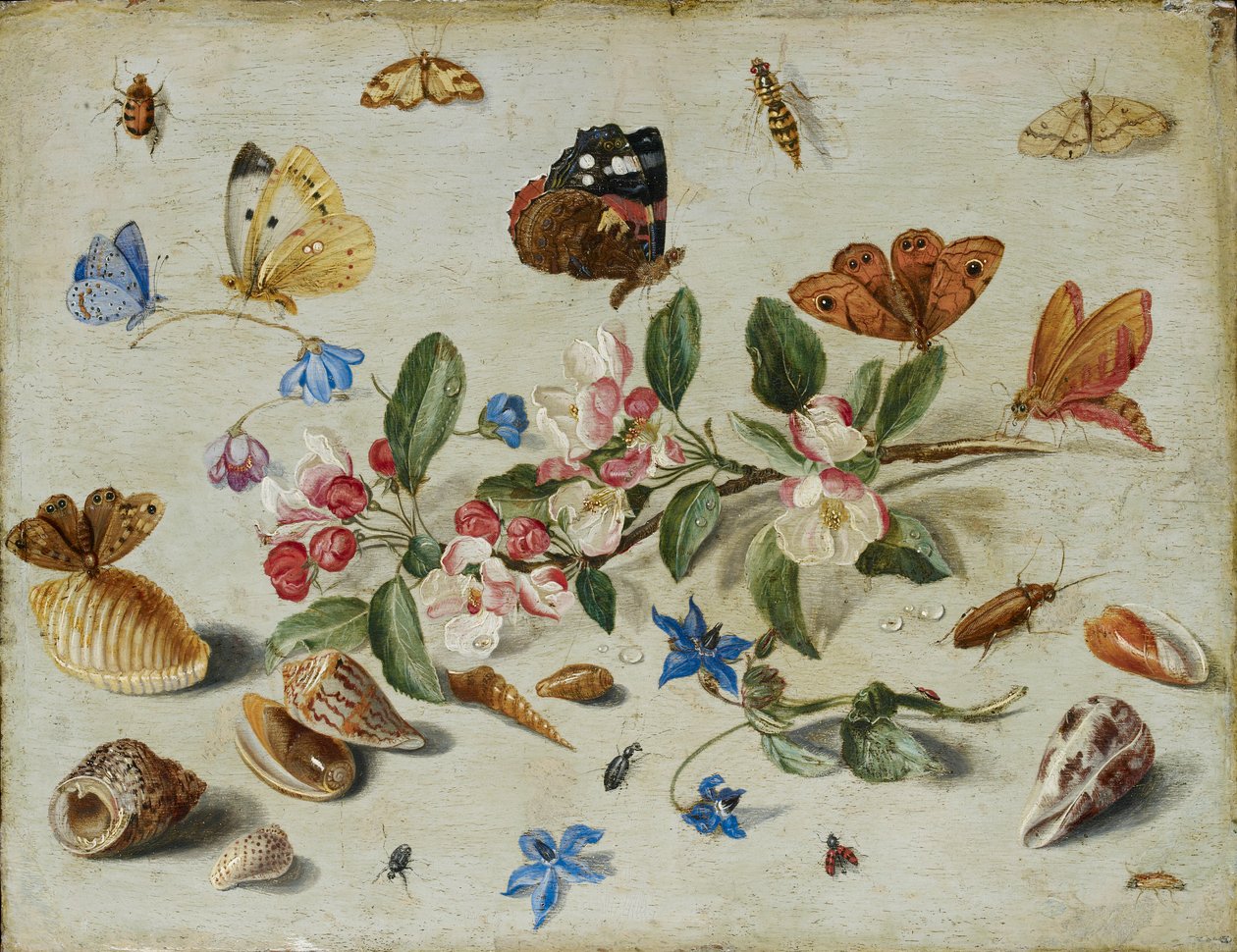 花和昆虫，1650年代末或1660年代初 作者 扬·范·凯塞尔（Jan van Kessel）