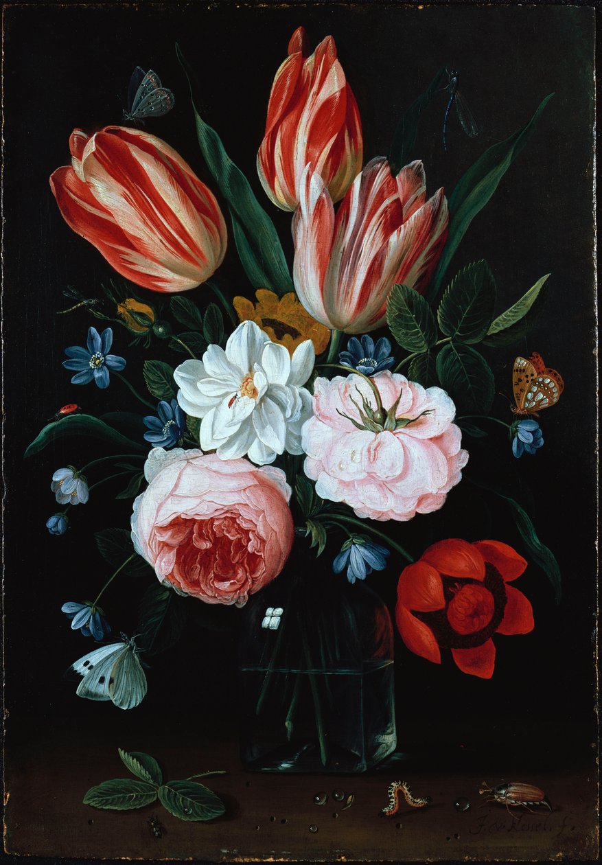 花瓶里的花 作者 扬·范·凯塞尔（Jan van Kessel）