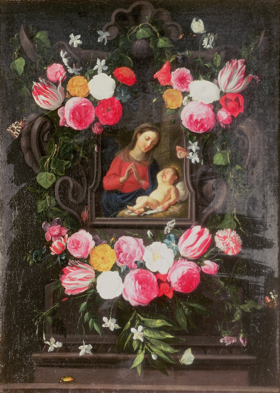 图片不明 作者 扬·范·凯塞尔（Jan van Kessel）