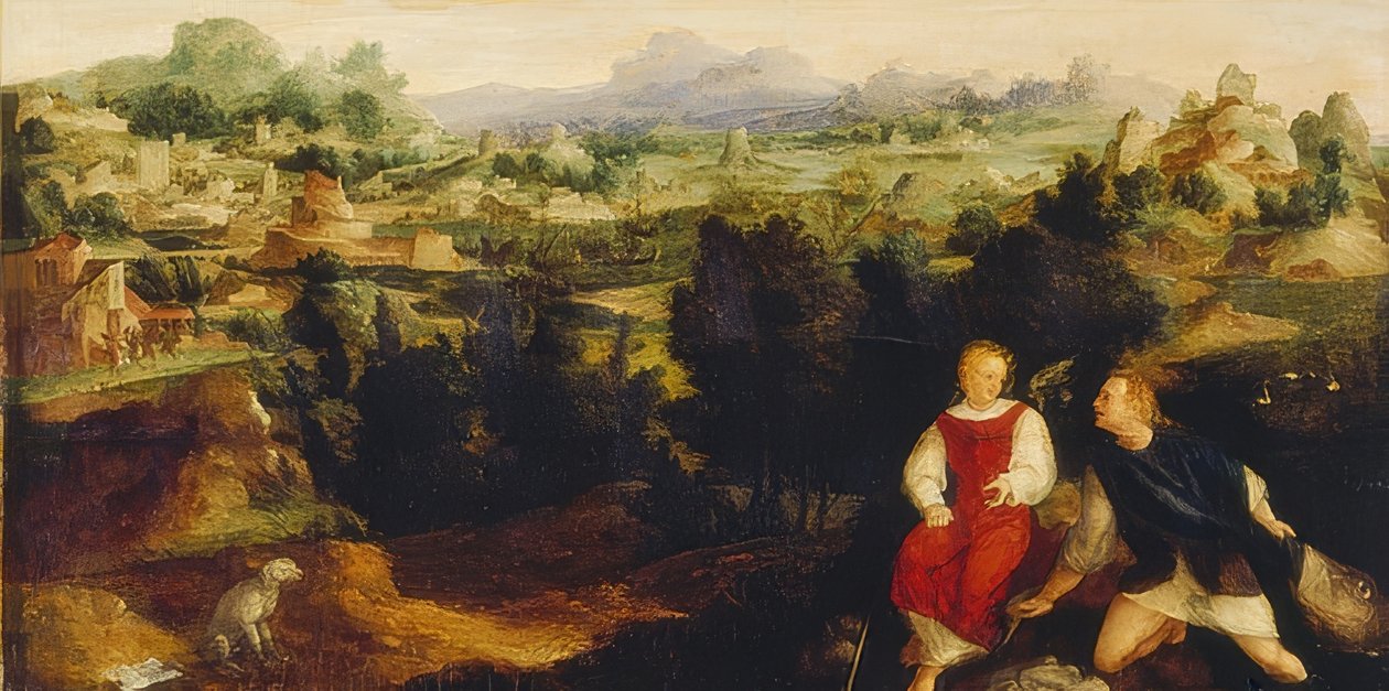 与天使的托比亚斯在风景。 1521 作者 扬·范·斯柯（Jan van Scorel）