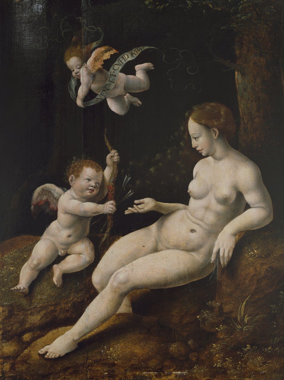 金星和两个丘比特，约1528年（面板上的油） 作者 扬·范·斯柯（Jan van Scorel）