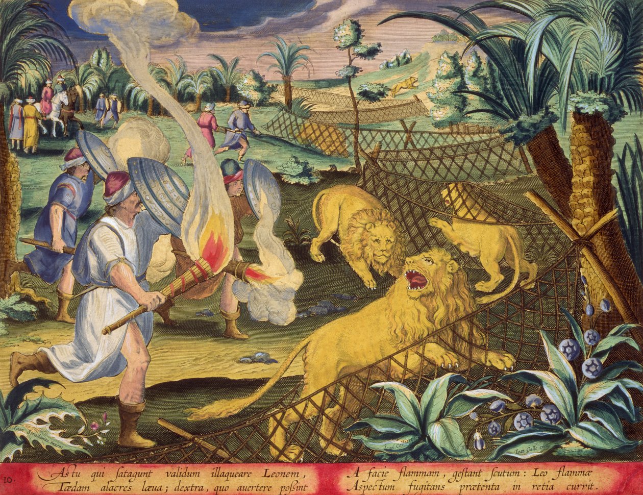 罗马狩猎，可能在罗马北非，选自 Jan Collaert（1566-1628 年）雕刻的《狩猎：野兽、鸟类、鱼类》（Venationes Ferarum, Avium, Piscium）第 10 版，由阿姆斯特丹的 Phillipus Gallaeus 出版（手工彩色雕刻）。 作者 Jan van der (1523 1605) (后) 大街