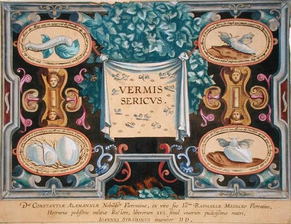 西奥多-加勒（1571-1633）雕刻的《Vermis Sericus》（《蚕》）的封面图（雕刻）。 作者 扬·范德·斯特雷特