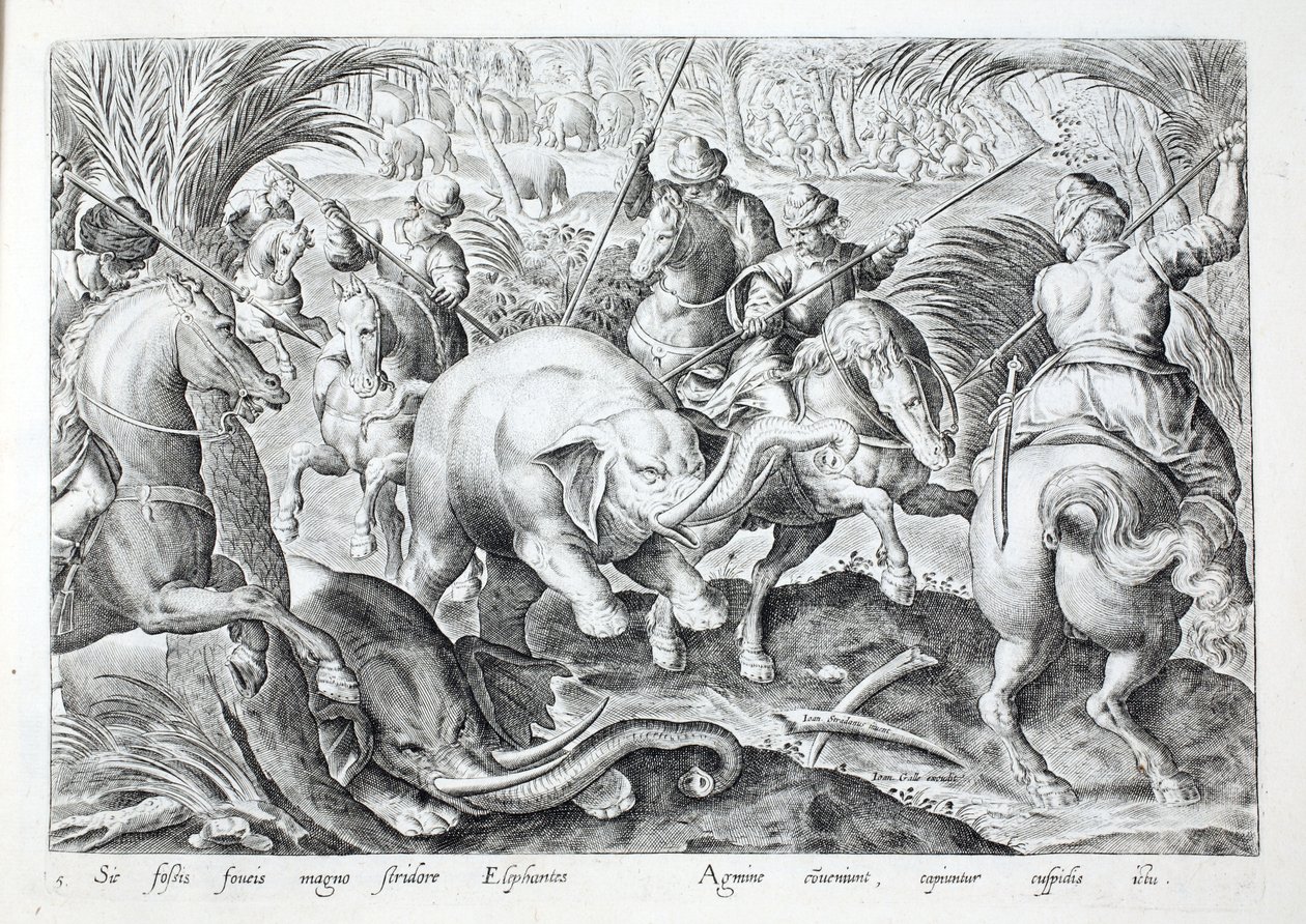 大象被猎人的长矛击中时会发出巨大的噪音，插图来自“Venationes、Ferarum、Avium、Piscium”（狩猎：野兽、鸟类、鱼类），由 Jan Collaert（1566-1628 年）雕刻，酒吧。 作者：Phillipus Gallaeus，阿姆斯特丹（雕刻） 作者 扬·范德 (1523 1605) 大街