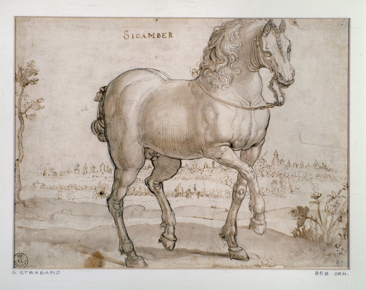Giovanni Stradano (Jan van der Straet) (1523-1605) 弗洛伦斯，乌菲兹美术馆（办公室）版画与素描系的研究画作 作者 扬·范德·斯特雷特