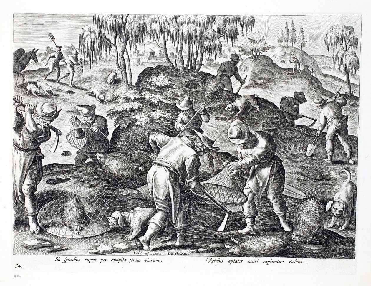 挖掘和捕获豪猪，板54，插图来自&39;Venationes，Ferarum，Avium，Piscium&39;（狩猎：野兽，鸟类，鱼类），由Jan Collaert（1566-1628）雕刻，酒吧。菲利普斯 作者 扬·范德·斯特雷特