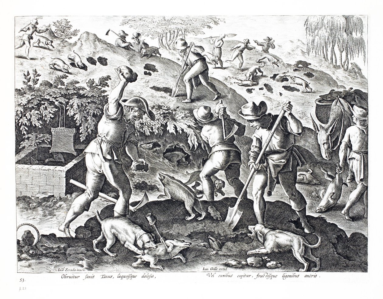 挖掘并捕获獾，插图来自&39;Venationes，Ferarum，Avium，Piscium&39;（狩猎：野兽，鸟类，鱼类），由Jan Collaert（1566-1628）雕刻，酒吧。作者：Phillipus Gallaeus，Ams 作者 扬·范德·斯特雷特