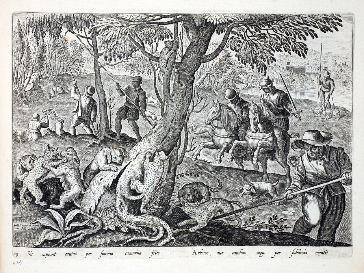 狩猎猫与狗，插图来自&39;Venationes，Ferarum，Avium，Piscium&39;（狩猎：野兽，鸟类，鱼类），由Jan Collaert（1566-1628），酒吧雕刻。作者：Phillipus Gallaeus，阿姆斯特丹（英国） 作者 扬·范德·斯特雷特