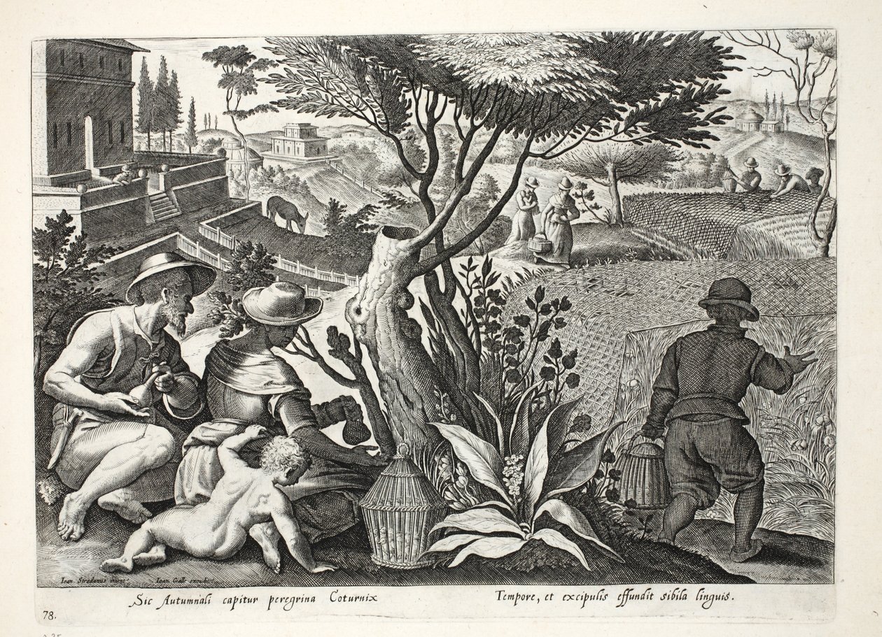 狩猎鹌鹑，插图来自&39;Venationes，Ferarum，Avium，Piscium&39;（狩猎：野兽，鸟类，鱼类），由Jan Collaert（1566-1628）雕刻，酒吧。来自阿姆斯特丹的Phillipus Gallaeus 作者 扬·范德·斯特雷特