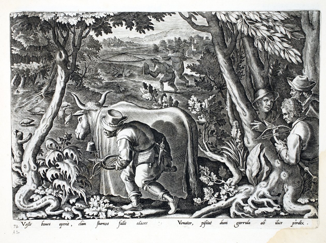 狩猎椋鸟和鹧,,插图来自&39;Venationes，Ferarum，Avium，Piscium&39;（狩猎：野兽，鸟类，鱼类），由Jan Collaert（1566-1628）雕刻，酒吧。作者：Phillipus Gallaeus，A 作者 扬·范德·斯特雷特
