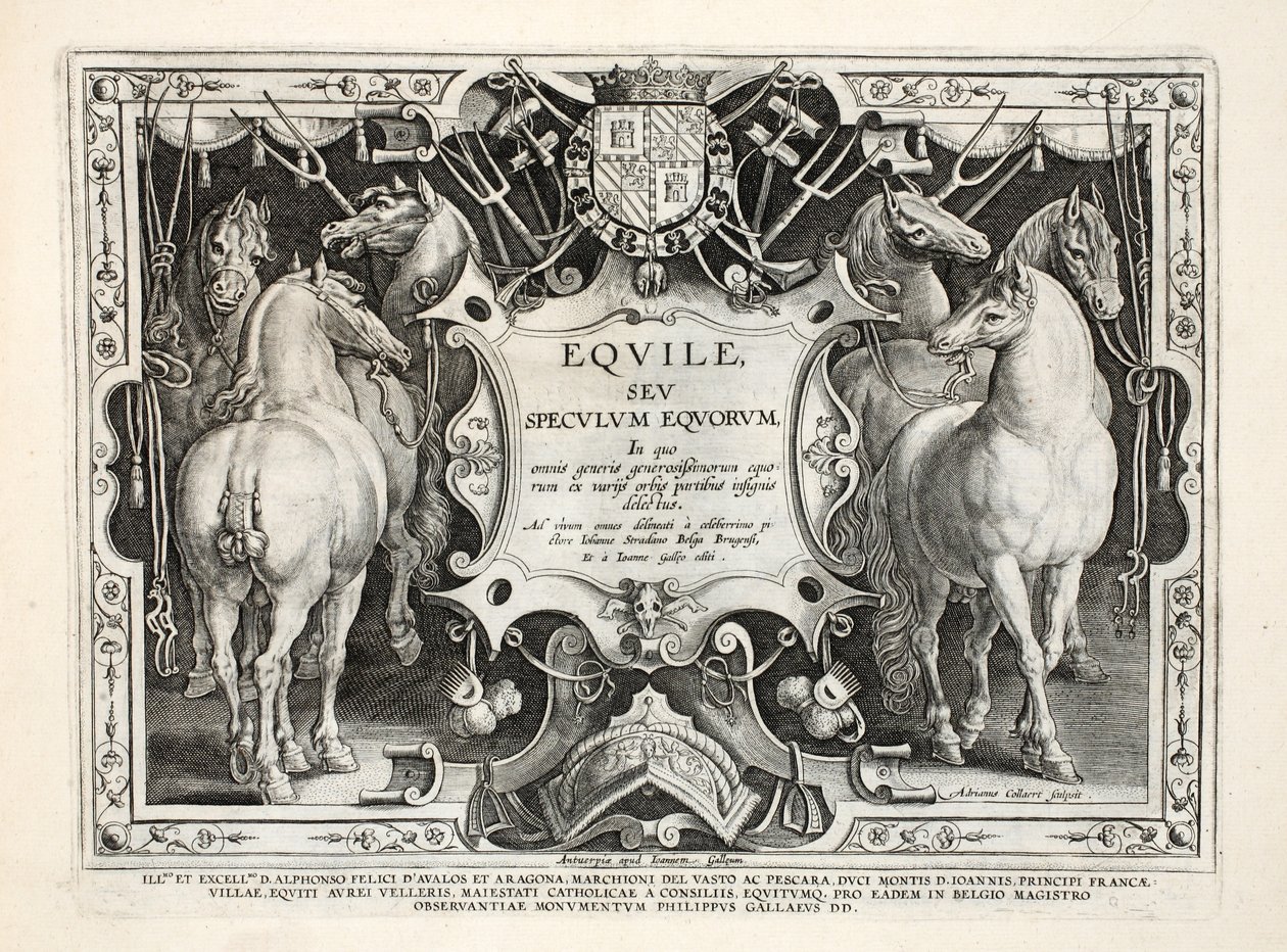 插图来自野兽，鸟，鱼“，由Jan Collaert（1566年至1628年），酒馆刻（狩猎野兽，鸟类，鱼类中）。由菲利普Gallaeus阿姆斯特丹 作者 扬·范德·斯特雷特
