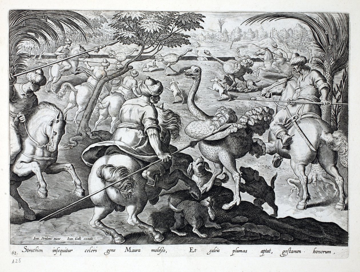 马背上的摩尔人狩猎鸵鸟，板62，插图来自&39;Venationes，Ferarum，Avium，Piscium&39;（狩猎：野兽，鸟类，鱼类），由Jan Collaert（1566-1628）雕刻，酒吧。菲利普斯 作者 扬·范德·斯特雷特