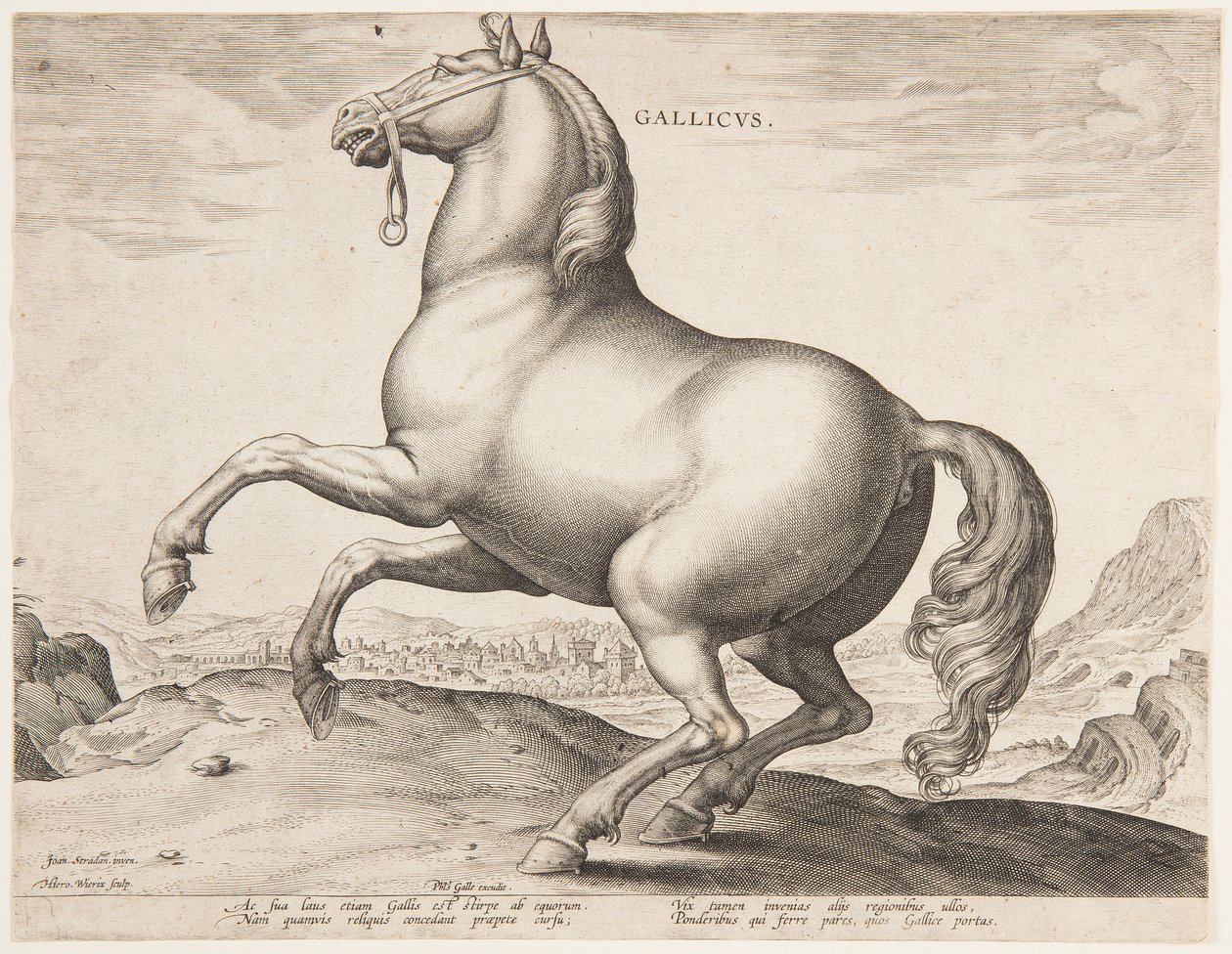 一匹法国马，选自第一套 "Equile Joannis Austriaci "作品 作者 扬·范德斯特雷特（Jan van der Straet），又名斯特拉达努斯