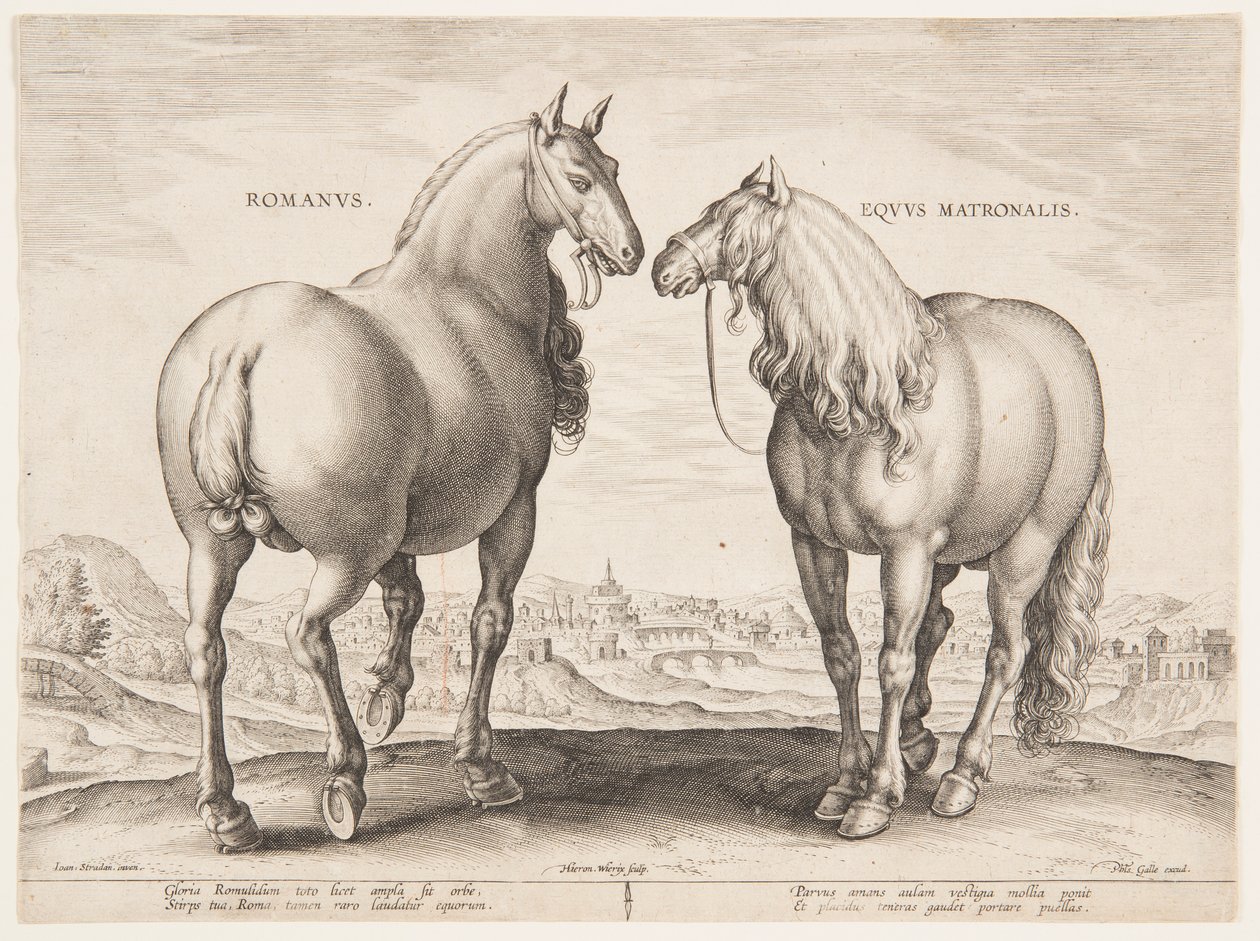 一匹罗马马，选自第一套 "Equile Joannis Austriaci "作品 作者 扬·范德斯特雷特（Jan van der Straet），又名斯特拉达努斯