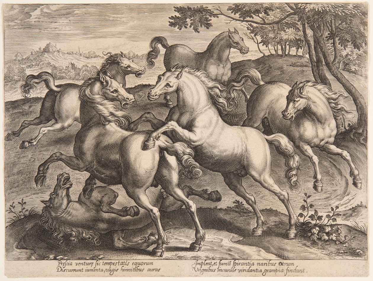 斗马，选自第四套 "Equile Joannis Austriaci "作品 作者 扬·范德斯特雷特（Jan van der Straet），又名斯特拉达努斯