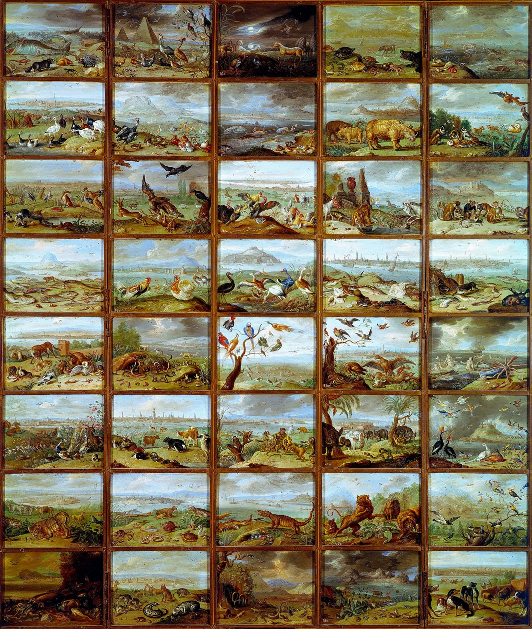 动物表显示了对应于不同动物物种的隔间。 Jan Van Kessel (1626-1679) 绘画，17 世纪马德里，普拉多博物馆 作者 凯瑟尔长老范
