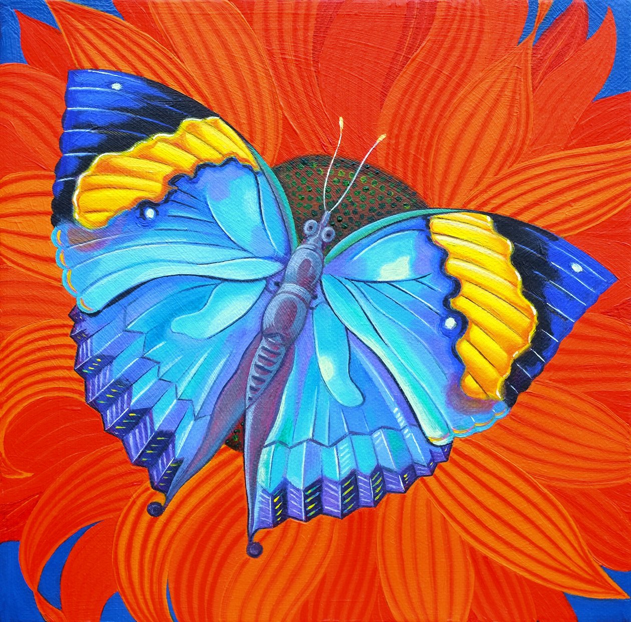 印度叶蝴蝶，2014， 作者 简·塔特斯菲尔德