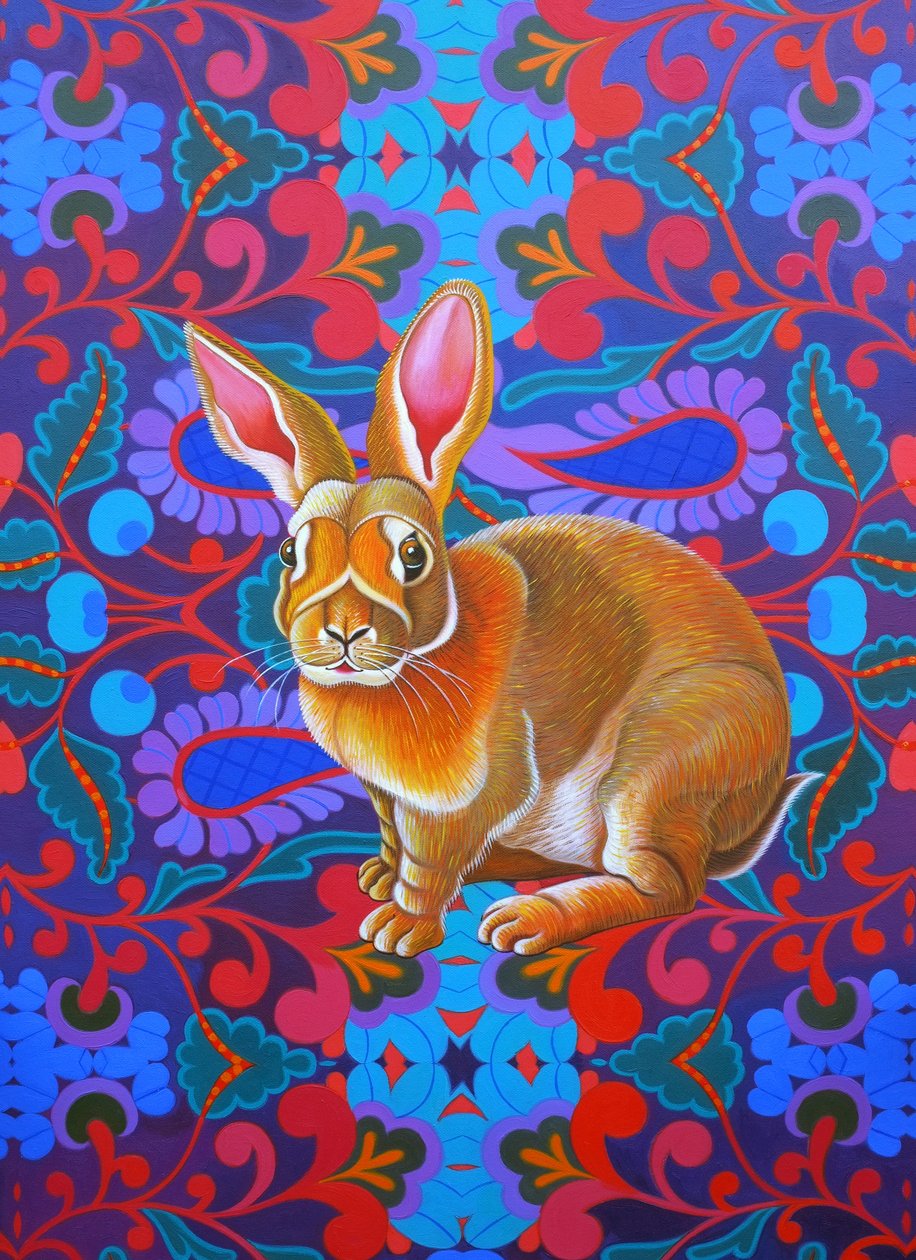 兔子，2014， 作者 简·塔特斯菲尔德