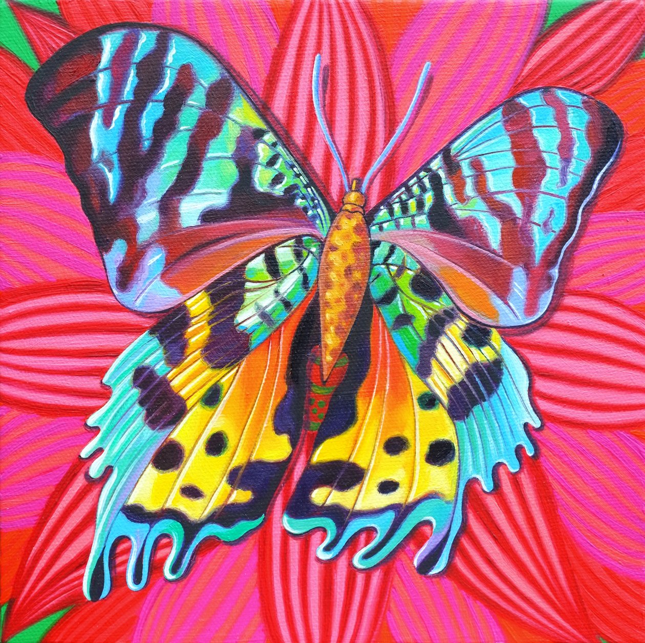 日落蛾，2014， 作者 简·塔特斯菲尔德