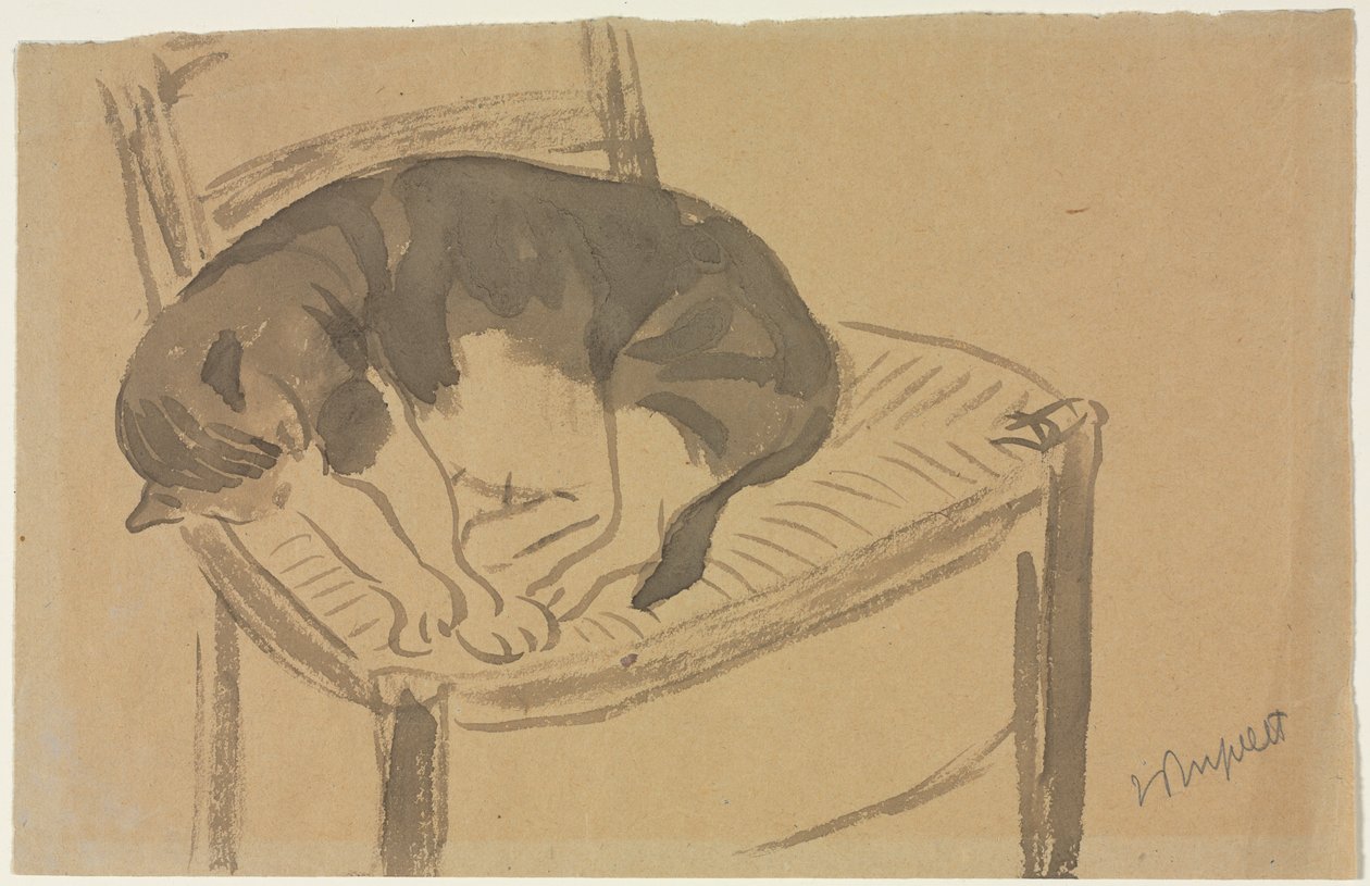 睡猫，1900年代的前三分之一。 作者 简·普佩莱