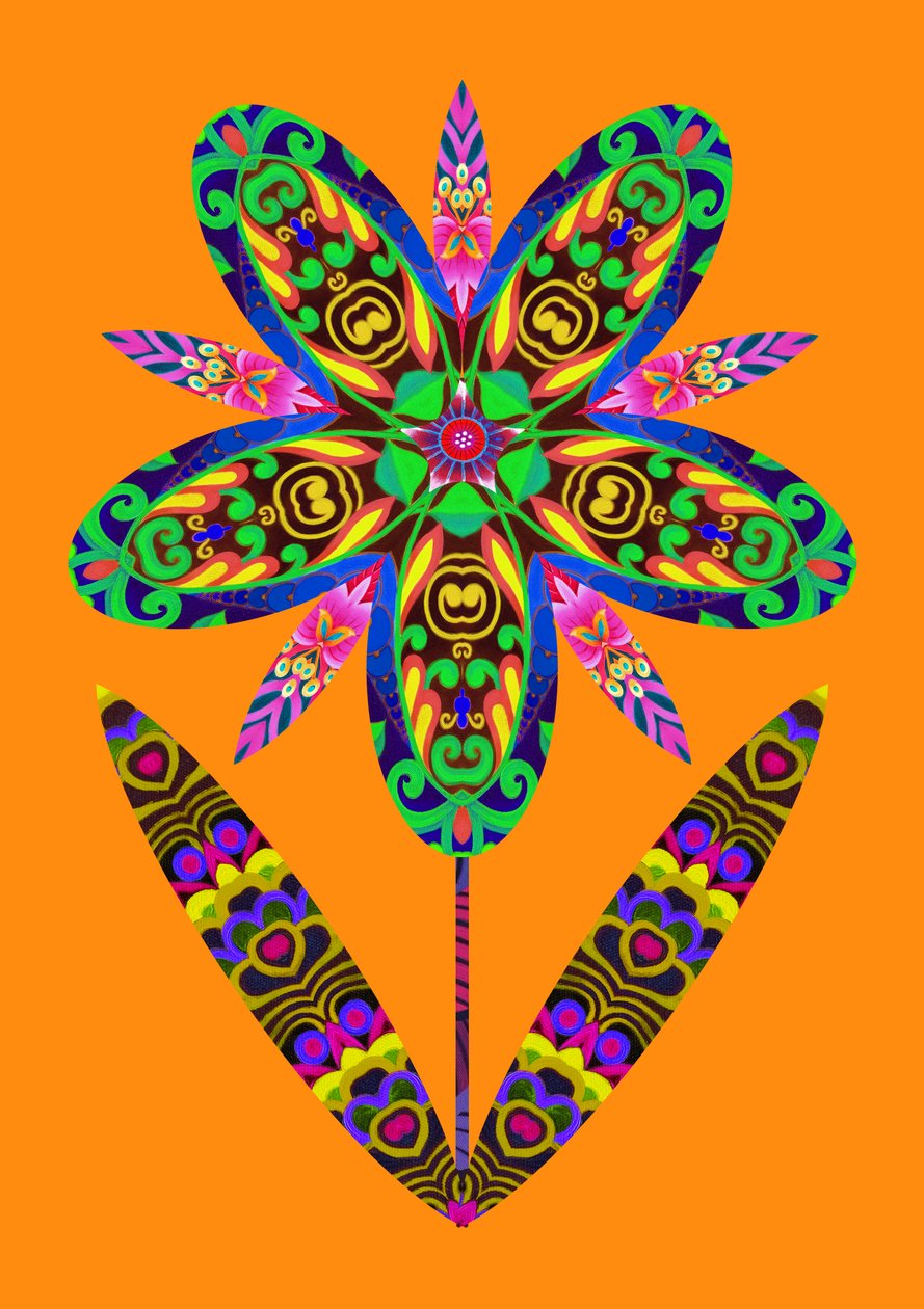 Flower cutout on orange, 2020 作者 简·塔特斯菲尔德